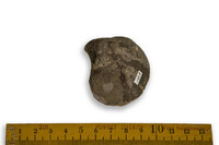 F 00193
<br/>
<br/>
<em></em>